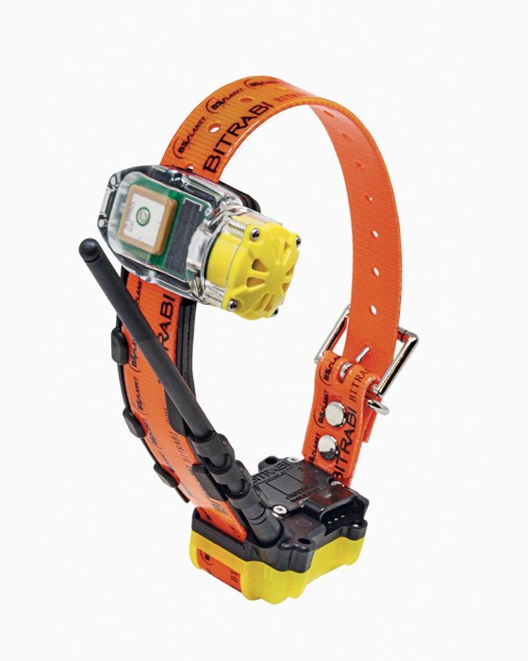 Kit MITO 5100 + collare beeper satellitare GPS per cani da caccia + BS PLANET 103 LEGEND localizzatore satellitare GPS per cani da caccia