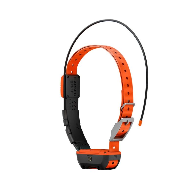 Collare per cani GPS Alpha® T 20 K