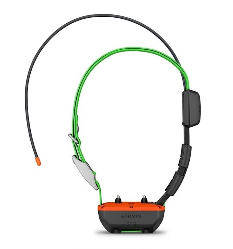 Collare per cani GPS Alpha® TT 25K