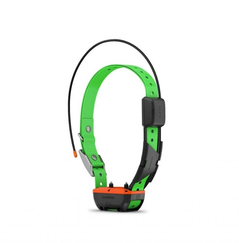 Collare per cani GPS Alpha® TT 25K
