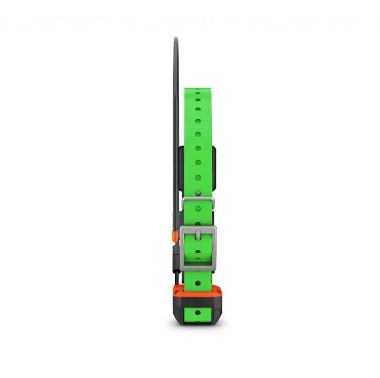 Collare per cani GPS Alpha® TT 25K
